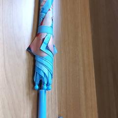 Umbrella, as reported by Arriva Limburg Zuid using iLost