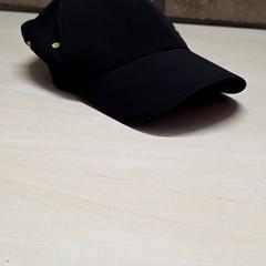 Casquette, a été signalé par Arriva Oost-Brabant utilisant iLost