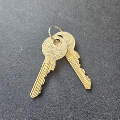 Sleutels, segundo informou a iLost