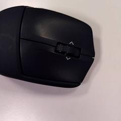 Datamus, som rapportert av Vrije Universiteit Amsterdam ved bruk av iLost