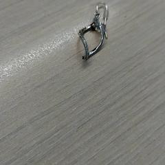 Ohrring, gemeldet von Zuyderland MC Heerlen über iLost