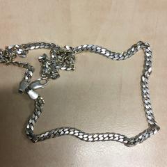 Halsband Zilverkleurige, rapporterat av Haaglanden Medisch Centrum med iLost