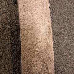 Case, as reported by Breda University of Applied Sciences Mgr. Hopmansstraat using iLost