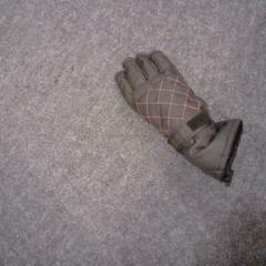 Glove, as reported by SnowWorld Landgraaf using iLost