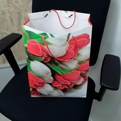 Poltsa, gisa salatu by ilévia iLost erabiliz