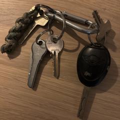 Sleutelbos met autosleutel mini en huissleutels, segundo informou a iLost
