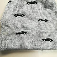 Muts Grijs met auto's, zoals gemeld door Burgers' Zoo met iLost