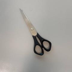 Tisores Zwart, segons ha informat Vrije Universiteit Brussel (VUB) mitjançant iLost