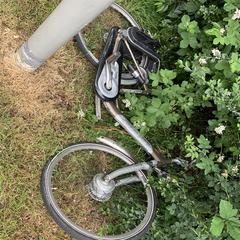 Electrische fiets GIANT, as reported to iLost