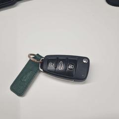 Chave do coche zwart, segundo informou Stad Hasselt usando iLost