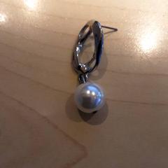 Kolczyk, zgłoszono przez LUMC przy użyciu iLost