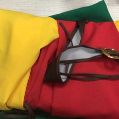 Carnavalskleding, iLost를 사용하여 Hotel van der Valk Maastricht에 보고됨