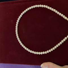 Parel diadeem, gemeldet von Pathé Rembrandt Utrecht über iLost