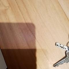 鍵 がiLostで Beekse Bergen Resorts en Hotel によって報告されました