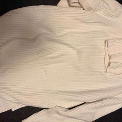 Blus, rapporterat av Ramada by Wyndham Amsterdam Airport Schiphol med iLost