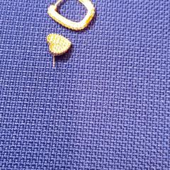 Oorbel, segons ha informat UvA REC mitjançant iLost