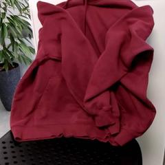 Tröja B rood, rapporterat av Arriva Twents med iLost