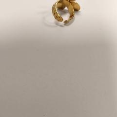 Bijoux Ring in vorm van klavertje 4, a été signalé par Centraal magazijn utilisant iLost