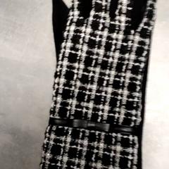 グローブ Zwart wit がiLostで Arriva Friesland / Groningen によって報告されました