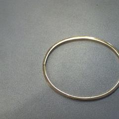 armband, as reported by Walibi Holland using iLost