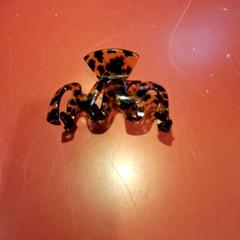Hair clip, as reported by Fjord Line – MS Stavangerfjord / Bergensfjord using iLost