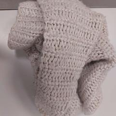 Sjal Roza Want, som rapportert av Vrije Universiteit Amsterdam ved bruk av iLost