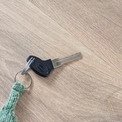 Fietssleutel met groen knuffeltje er aan, gerapporteerd met iLost