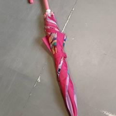 Aterkia Roze, gisa salatu by Regio Oost-Vlaanderen iLost erabiliz