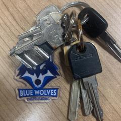 鍵 がiLostで Pathé Zwolle によって報告されました