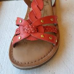 صندل Roze، كما تم الإبلاغ عنه بواسطة DierenPark Amersfoort عبر iLost