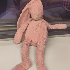 Knuffel がiLostに報告されました
