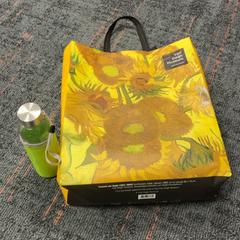 Bag, as reported by Connexxion Amstelland-Meerlanden Schiphol Zuid using iLost