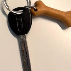Klíč na kolo, jak nahlášeno Ziekenhuis Oost-Limburg pomocí iLost