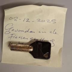 Llave, ha sido reportado por Heidelberglaan 7 con iLost