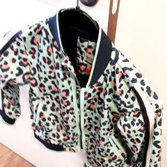 Jacka, rapporterat av Qbuzz ZHN med iLost