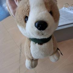 Peluche chien, as reported by IKEA Lyon Grand Parilly using iLost