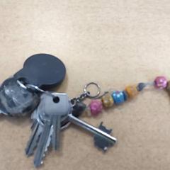 Klíče, jak nahlášeno Regio Limburg - Leuven pomocí iLost