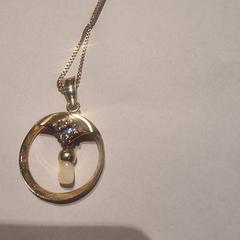 Gouden ketting hanger tandje, como reportado ao iLost