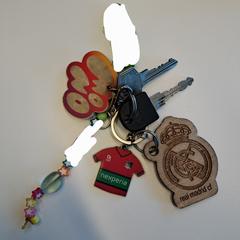 Sleutelbos, som rapporterats till iLost