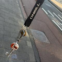 Steutel bos, amint azt az iLostnak jelentették.