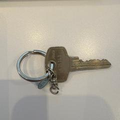 Sleutel، كما تم الإبلاغ عنه عبر iLost