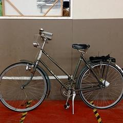 Bicicleta Golden blulman Groen, como reportado por Fietsdepot Hasselt utilizando o iLost