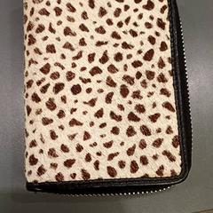 Peněženka Onv : Blansjaar, jak nahlášeno Qbuzz GD Groningen HS pomocí iLost