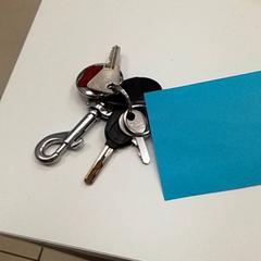 Nyckelring, rapporterat av ilévia med iLost