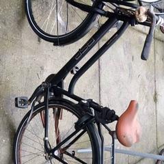 Dámské kolo Bsp, jak nahlášeno Stadswerk072 pomocí iLost