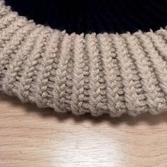 Beanie Blauw/beige, ako bolo nahlásené Qbuzz Fryslân pomocou iLost