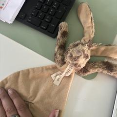 Knuffel, segons s'ha informat a iLost