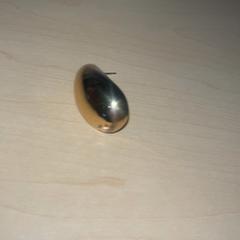 Fülbevaló, amint azt Jaarbeurs az iLost segítségével jelentette.