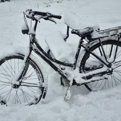 Damesfies a été signalé sur iLost