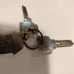 Schlüssel Twee sleutels met hanger, gemeldet von Gemeente Duiven über iLost